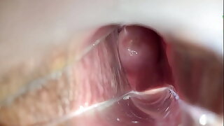 orgasmo vaginal